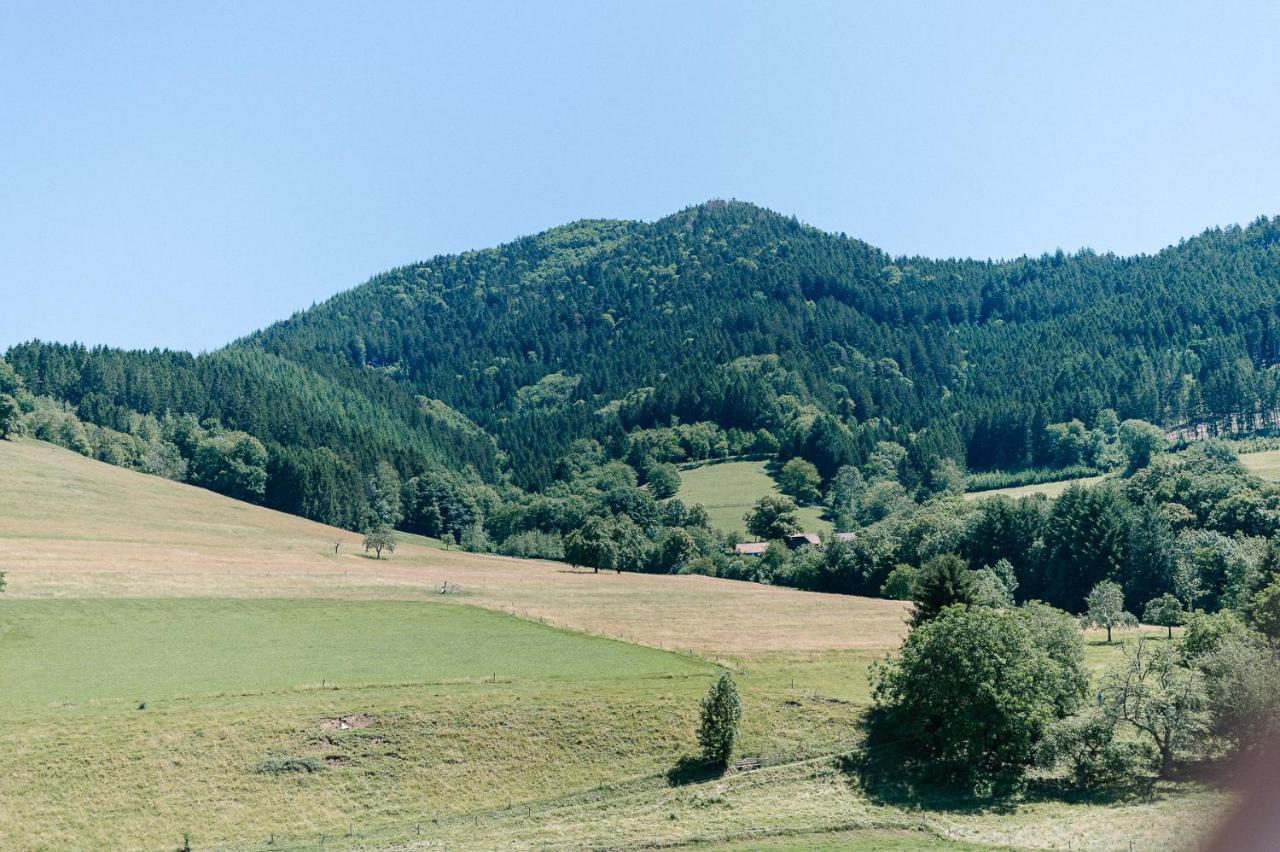 Moderne 2 Zi.-Fewo Blackforest Art Naehe Freiburg Simonswald Esterno foto